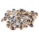 thumbnail image 1 of Natural Seashells for Craft Projects 50 Pcs Shell Shape DIY Jewelry Accessories for, 1 of 3
