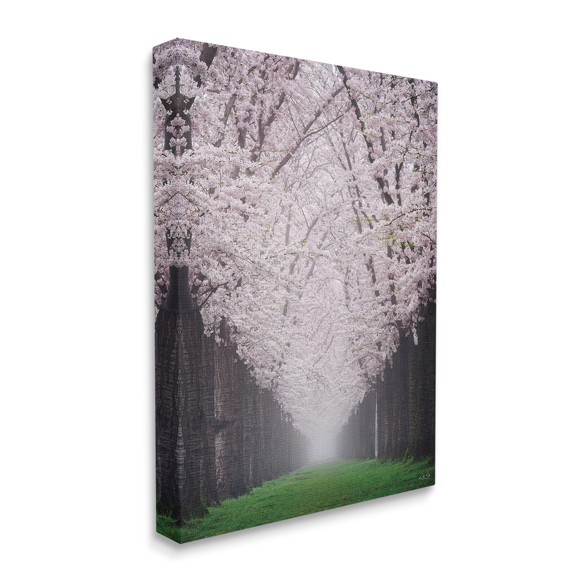 Stupell Industries Cherry Blossom Grove Landscape Photography Gallery Wrapped Canvas Art Print Wall Art, 16 x 20