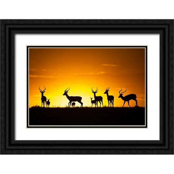 Golob, Gorazd 24x17 Black Ornate Wood Framed with Double Matting Museum Art Print Titled - Just a sunset