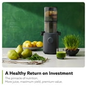 Hurom Cold Press Juicer Machine, H310 Easy Clean Slow Juicer (Charcoal)