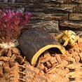 thumbnail image 2 of Reptile Hide Cave Acuario Tortuga Flotante para Tomar El Sol, 2 of 5
