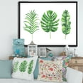thumbnail image 2 of Designart 'Close Up Of Tropical Leaf Of Monstera IV' Farmhouse Framed Canvas Wall Art Print, 2 of 5