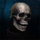 thumbnail image 5 of Máscara de calavera de cabeza completa, máscara de Halloween, mandíbula móvil para adultos, disfraz de Halloween, máscara malvada de terror, casco, disfraz de fiesta, accesorios de Cosplay, 5 of 5