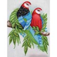thumbnail image 1 of Cuadros Decorativos Kit de pintura de diamante 5D pájaro forma especial parcial taladro DIY arte (KA384) DQrwqpou Nuevos Originales, 1 of 5