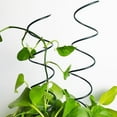 thumbnail image 2 of Tomato Twist Stake,Spiral Tomato Stakes,Twisted Tomato Stakes, Plant Supports Spiral Tomato Cages,Spiral Plant Support for Potted Plants Tomato Rose Vine, 2 of 7