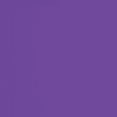 thumbnail image 4 of Playera Blusa De Palm Beach Surf Club – Vibra Tropical con Sabor a Coco Color Morado Talla Chica Marca Emil SaEs, 4 of 4