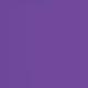 thumbnail image 4 of Playera Blusa De Palm Beach Surf Club – Vibra Tropical con Sabor a Coco Color Morado Talla Grande Marca Emil SaEs, 4 of 4