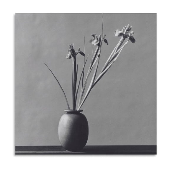 Robert Mapplethorpe Iris Canvas Famous Paintings, Wall Art Posters, Decorative Hanging Pictures Picture Print Wall Art Poster Painting Canvas Posters Artworks Gift Room Aesthetic 24x24inch(60x60cm)