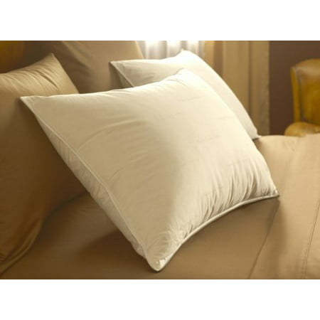 PACIFIC COAST DOWN EMBRACE PILLOW (SINGLE PACK) (Best Places To Stay On Pacific Coast Highway)