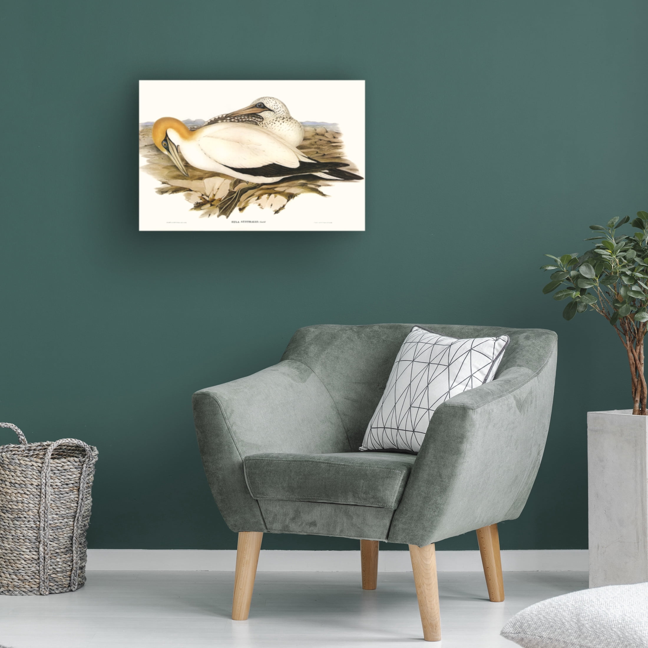 Trademark Fine Art Elizabeth Gould Waterbird Pairing VI Canvas Wall Art