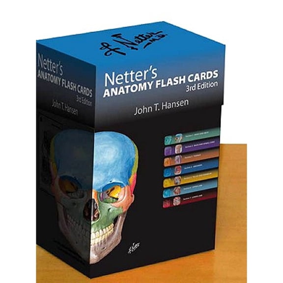 Netter's Anatomy Flash Cards: With Online Student Consult Access (Paperback) by John T Hansen