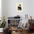 thumbnail image 4 of Art.com Raven Art Print by John James Audubon, White Frame Wall Art, 21" x 29", 4 of 5