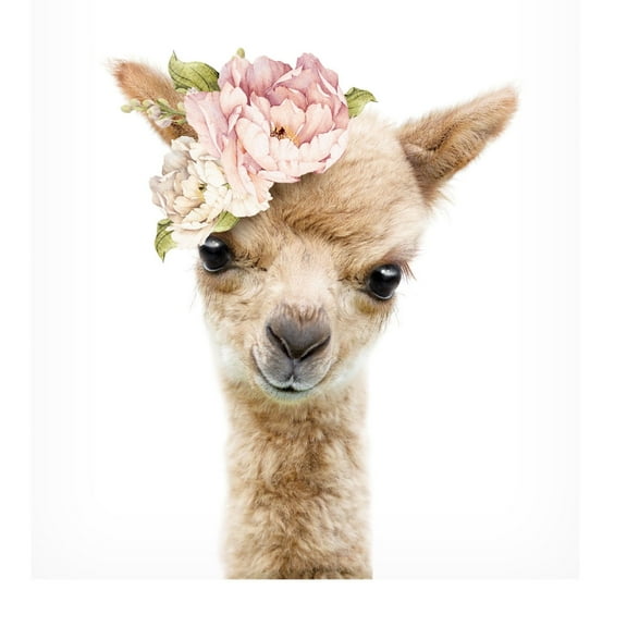 Trademark Fine Art Lola Peacock Floral Baby Llama Canvas Wall Art