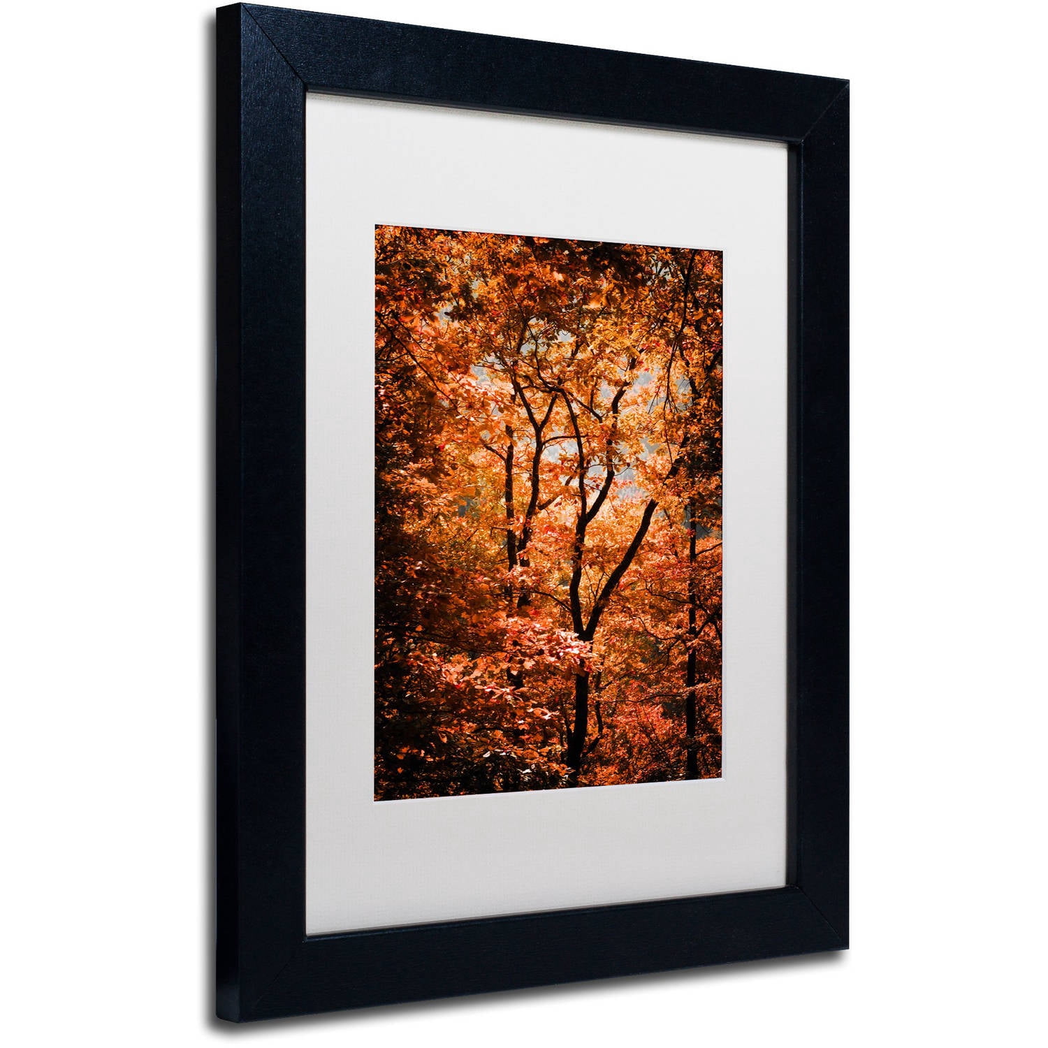 Trademark Fine Art "Autumn Whispers" Canvas Art by Philippe Sainte-Laudy White Matte, Black Frame