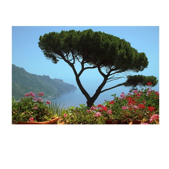 Startonight Mural Wall Art Tree on the Cliff - Nature Theme Photo Wallpaper 100" x 140"