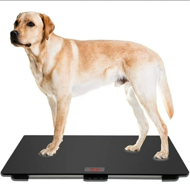 Báscula veterinaria grande para perros de 80 x 50 cm con alfombrilla antideslizante y plataforma para mascotas. Peso: 100 kg, precisión de 10 g, función de retención, talla L, color negro.