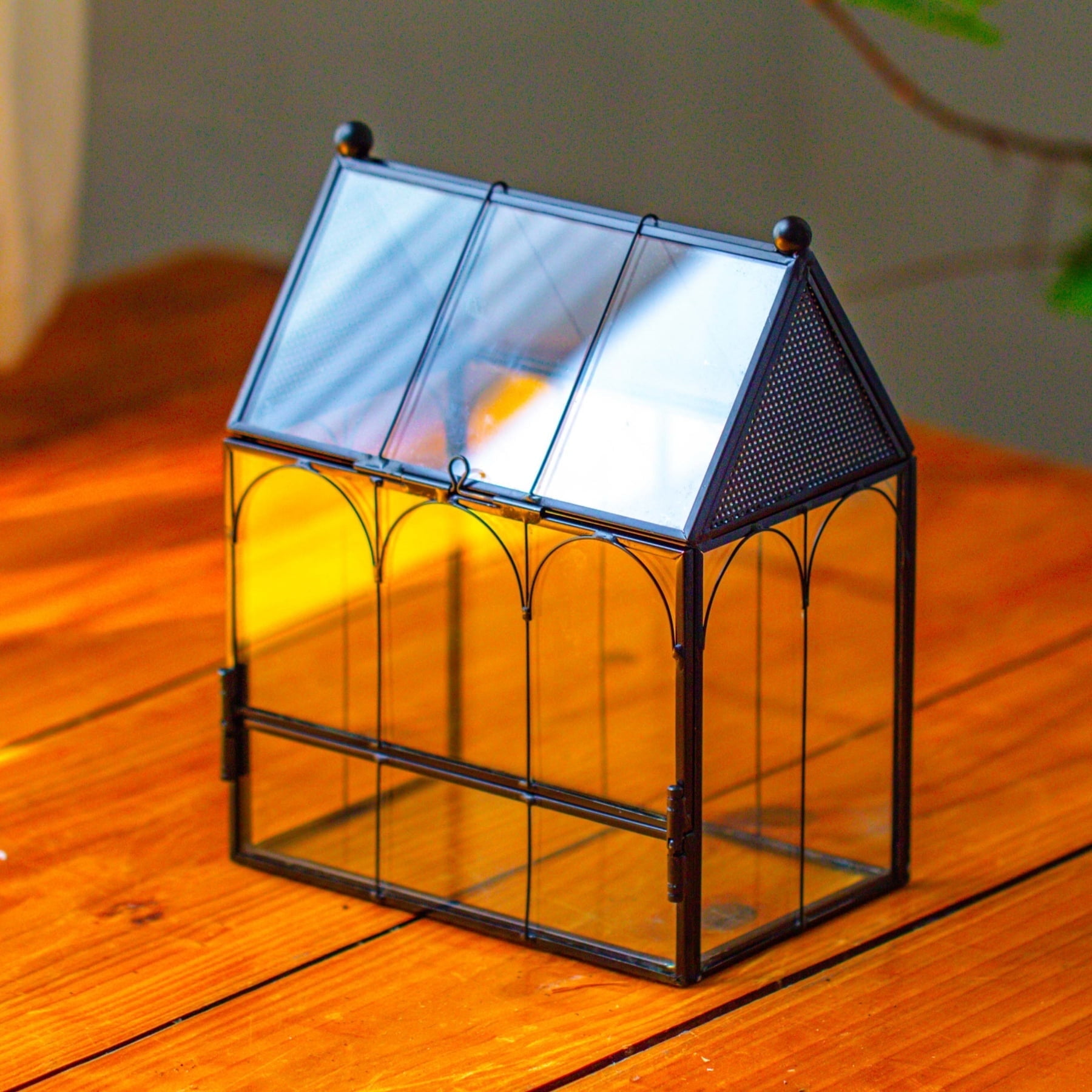 NCYP Small House Shaped Spider Enclosure Terrarium with Mesh, and Front Opening Door, Stainless Steel and Glass, Jumping Spider Small Insect Habitat, Terrarium Only