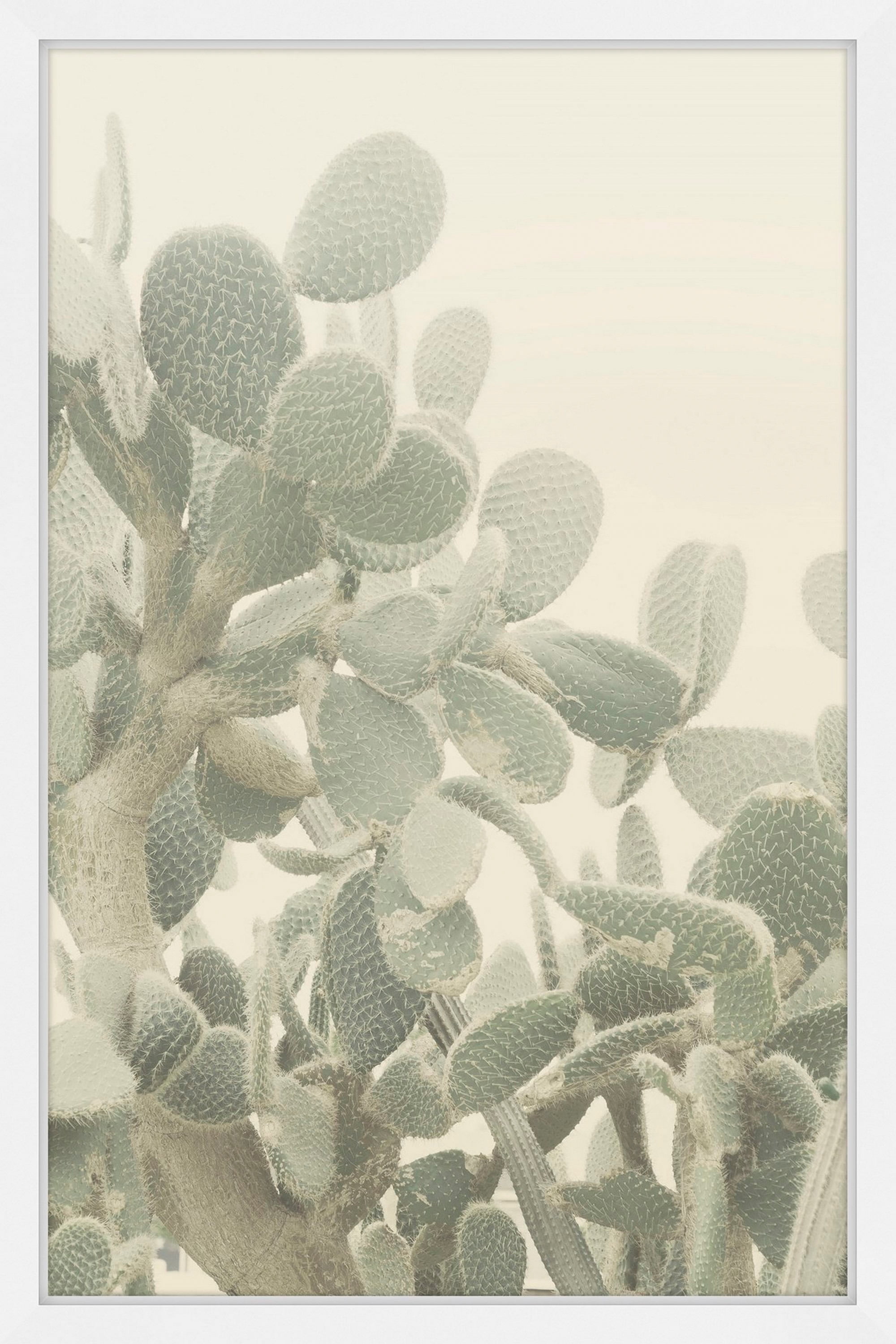 Neblina de Cactus Framed Painting Print