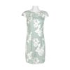 Adrianna Papell Boat Neck Cap Sleeve Zipper Back Floral Embroidered Bodycon Mesh Dress-SEAFOAM IVORY