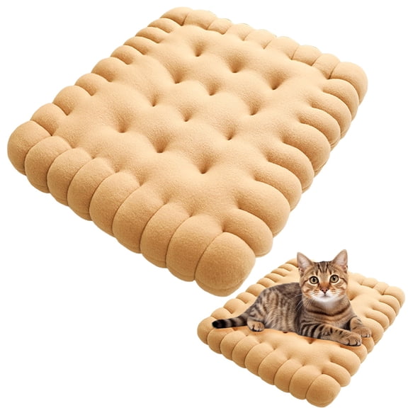 Chair Cushions for Dining Chairs, Extra Large Seat Cushion, Non Slip Kitchen Chair Pads, 19.7" x 15.8", Indoor Dining Chair Cushions, Cute Seat Cushions for Kitchen Chairs, Beige