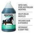 thumbnail image 5 of Jeffers Menthol Cooling Horse Shampoo, 128 oz – Soap Free, Detergent Free, Pure Australian Menthol Equine Grooming Shampoo for Horses, Mane, Tail, Coat, Barn, Stable, Muscle Relief, Daily Use, 5 of 5