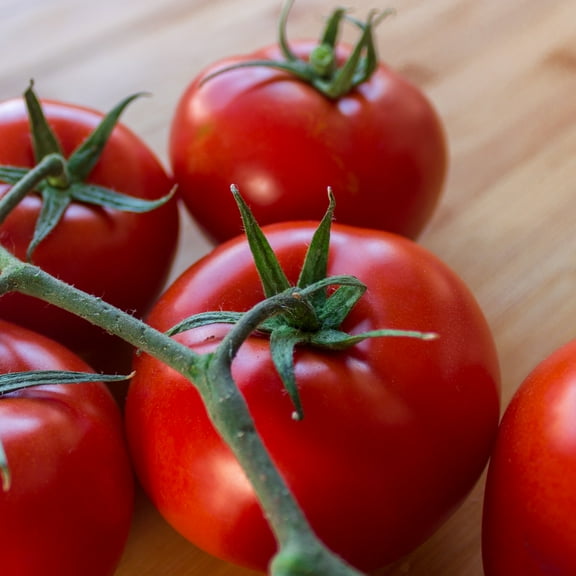 Mountain Delight F1 Hybrid Tomato Seeds - 300 Mg Packet ~70 Seeds - Non-GMO, F1 Hybrid - Vegetable Garden - Lycopersicon esculentum