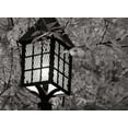 thumbnail image 2 of Vitaly Geyman 44x33 Gallery Wrapped Canvas Wall Art Titled - Fall Lighting I BandW, 2 of 4