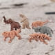 thumbnail image 3 of prehistórica de PVC , modelo de juguete en miniatura, regalos para de 3 a y niñas , 6 animal prehistórico Yotijar Figuras de animales de granja, 3 of 10
