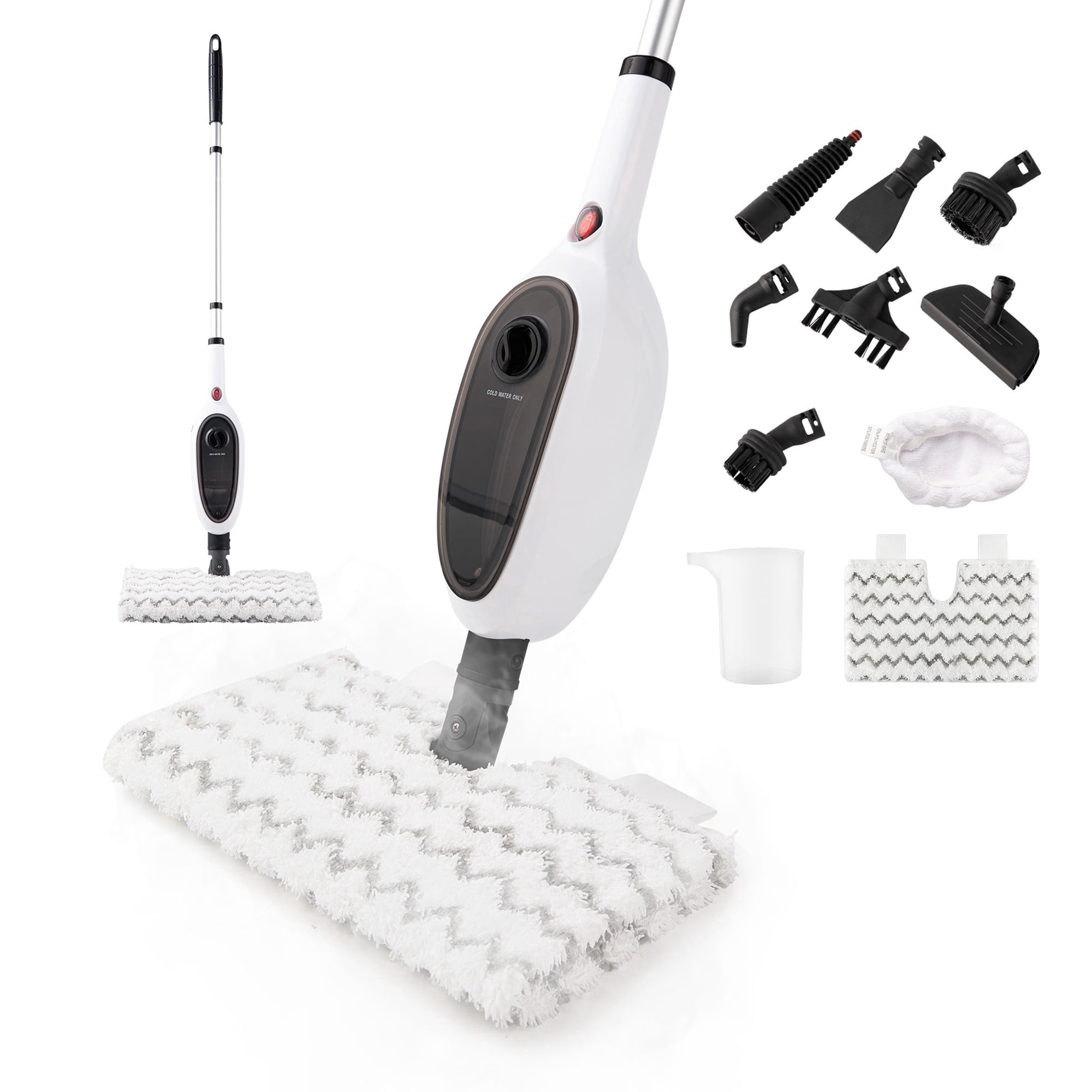 Reecoo Double-Sided Steam Mop，10-in-1 Floor Steamer for Hardwood and Tile, Carpet Steam Cleaner, 2 Mop Pads