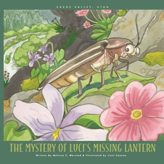 Pre-Owned The Mystery of Luci's Missing Lantern (Paperback) 1945243805 9781945243806