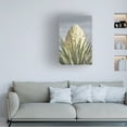 thumbnail image 3 of Alan Majchrowicz 'Joshua Tree' Canvas Art, 3 of 3