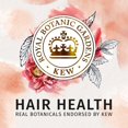 thumbnail image 4 of Herbal Essences Bio Renew Naked Volume White Grapefruit  13.5 oz, 4 of 7