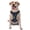 With Accessories, variant on Vsdgher Dinosaur Astronaut Space Surfing Pattern Dog Harness,No Pull Pet Harness with Soft Padded Handle,Adjustable Reflective Vest with 2 Buckles,4 Slide Buckles,S-XL Medium