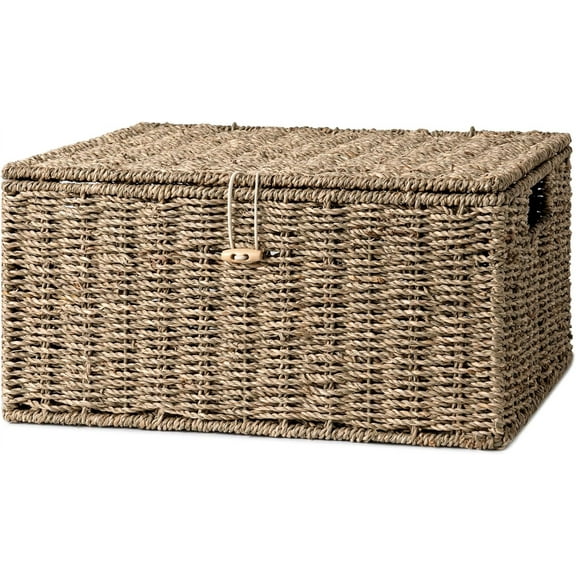 Seagrass Wicker Baskets for Organizing, Large Wicker Basket with Lid, Decorative Basket with Built-in Handles, Storage Baskets for Shelves, 1 Pack