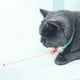 thumbnail image 4 of Collar eléctrico para gatos, divertido, inteligente, divertido, infrarrojo, creativo para gatos de interior Hugtrwg Para estrenar, 4 of 9