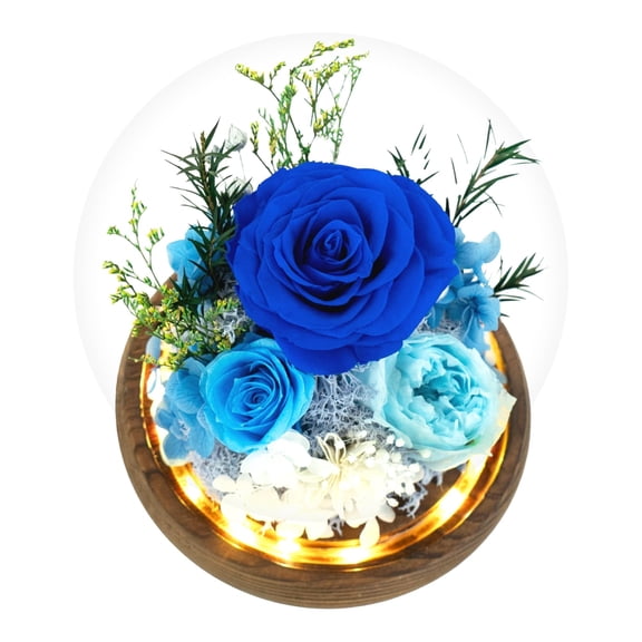 MixMart Preserved Flowers Rose in Glass Dome w/Light - Long Lasting Flowers, Flower Gifts for Women for Any Occasion - Home Decor, Comes w/Thick Gift Box, Forever Glass Rose Flowers - Green