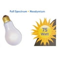 Aqua Culture Daylight Bulb Incandescent Reptile Lighting, 75 Watt