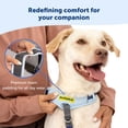 thumbnail image 3 of Arnés para perros PetSafe Easy Walk Comfort No-Pull Green S/M, 3 of 5