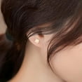 thumbnail image 2 of Black Rose Flower Tiny Stud Earring, Cute Dainty Transparent 925 Silver Piercing Earring, Trendy Party Anniversary Wedding Earlobe Accessories Gift, 2 of 14