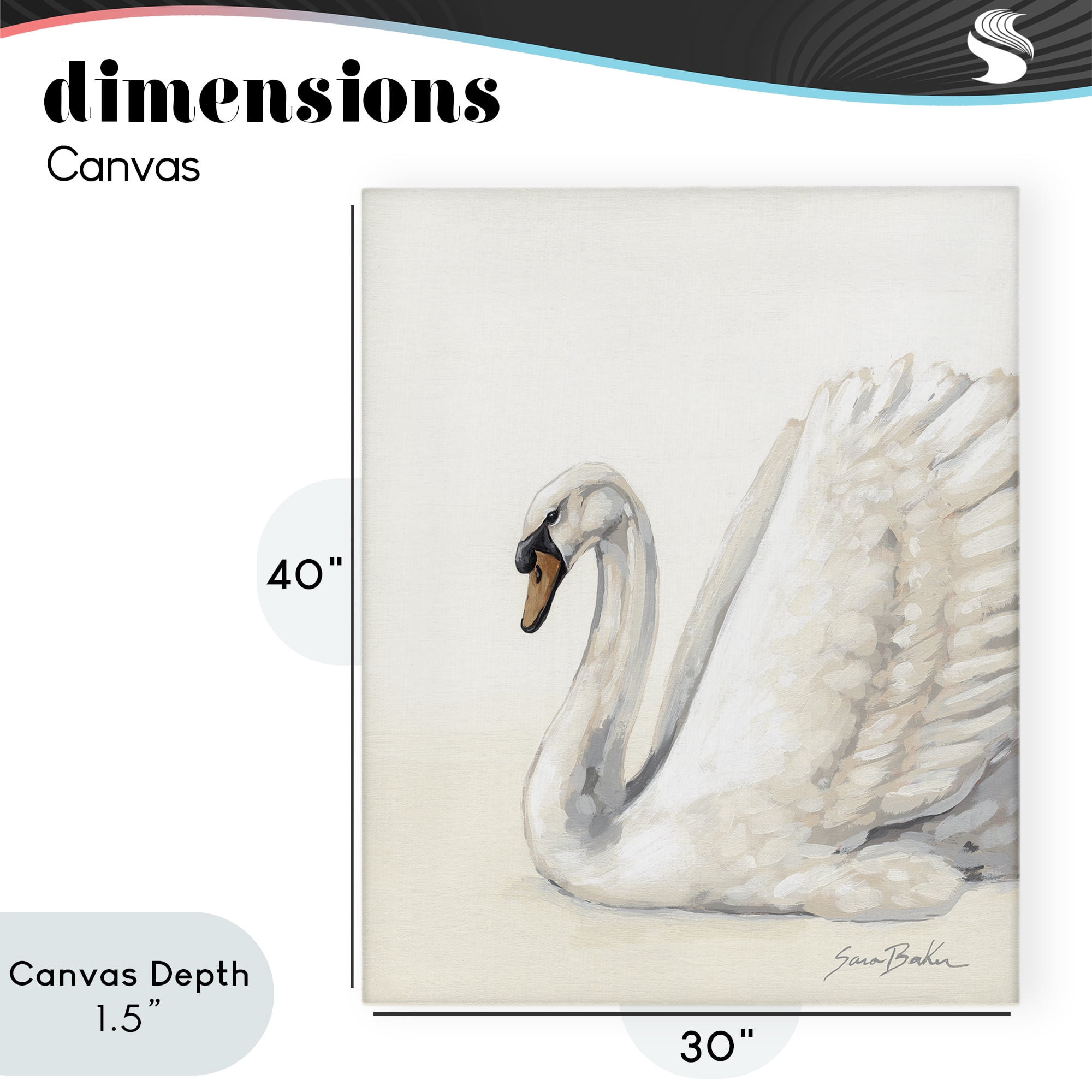 Stupell Industries White Swan in Repose Canvas Wall Art, design by Sara Baker