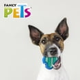 thumbnail image 2 of Juguete Dental para Perro Fancy Pets Filete Con Cerdas FL9423, 2 of 2