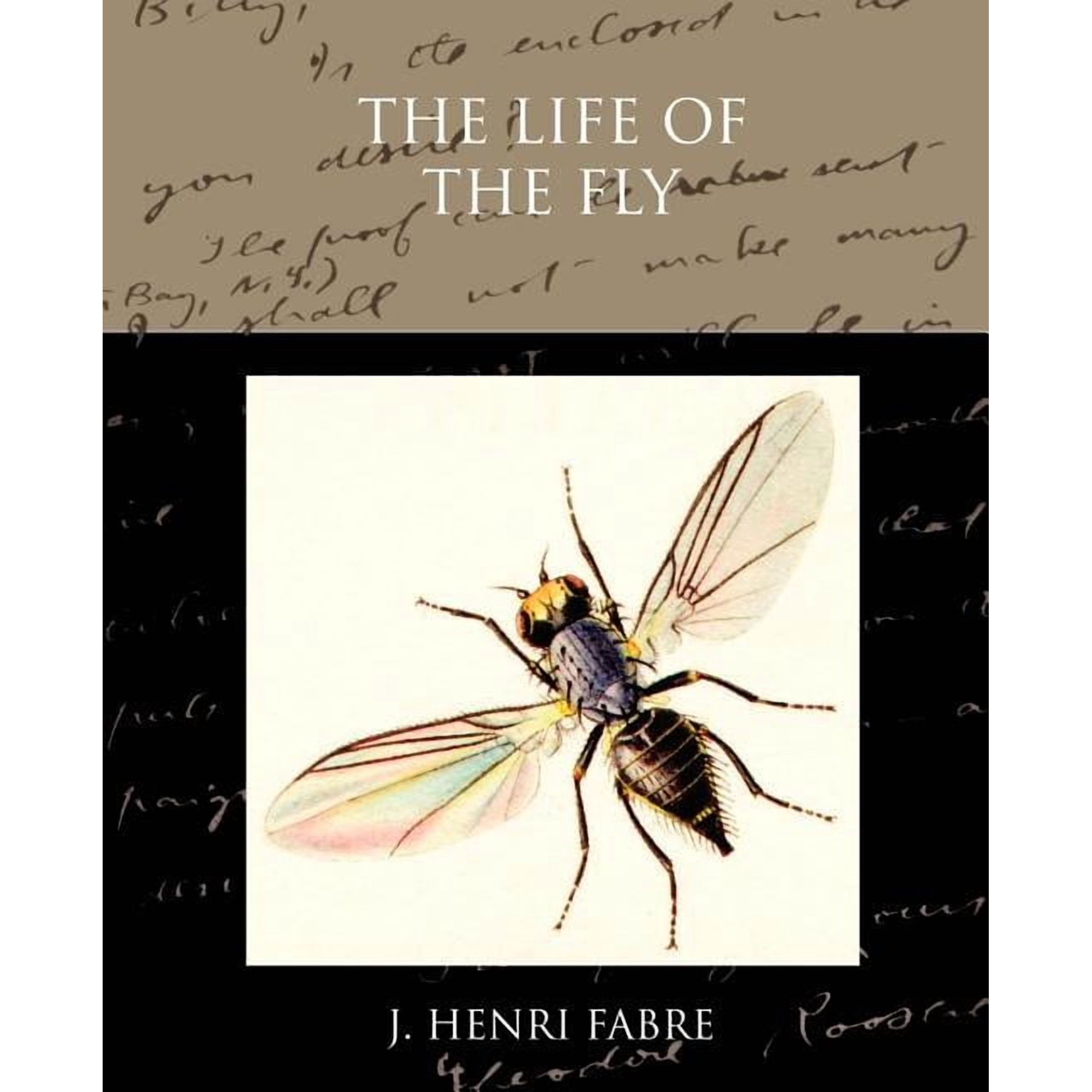 The Life of the Fly (Paperback)