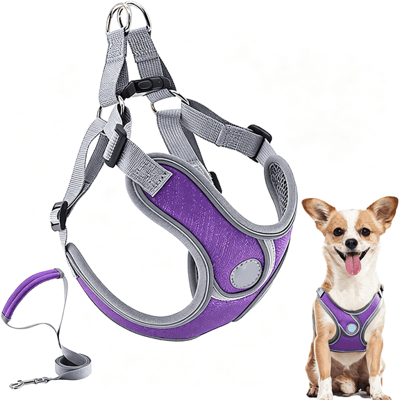 GASTROPOD Dog Harness with Leash Set,Puppy Harnesses with Breathable Padded for Small Dogs Walking Escape Proof Breathable Padded Purple Dog Harness and Leash Set (Xs,Purple)