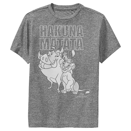 Boy s Lion King Hakuna Matata Friends Performance Graphic Tee Charcoal Heather Large