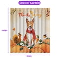 thumbnail image 5 of Happy Thanksgiving Basenji with Turkey Pumpkins Autumn Vibes Shower Curtain African Barkless Dog Lover Waterproof Bathroom Bathtub Curtain - 12018, 5 of 5