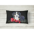 thumbnail image 2 of Carolines Treasures Entlebucher Mountain Dog Decorative Canvas Fabric Pillow 12H x16W multicolor, 2 of 3