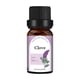 thumbnail image 1 of Aceites esenciales Elementos esenciales para el hogar Vela Unilateral de 10ML,aromaterapia de naranja dulce,aceite de árbol de té,lavanda,Material de vela artesanal,aceit(Buy 2 Get 1 Free), 1 of 2