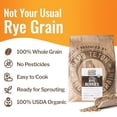 thumbnail image 4 of Grand Teton Ancient Grains - 100% USDA Organic Rye Berries, Rye Berry Grain, Rye Grain Organic Excellent for Sprouting, Rye Grain for Milling into Flour for Baking, Plastic-Free Paper Bag, 25lbs, 4 of 5