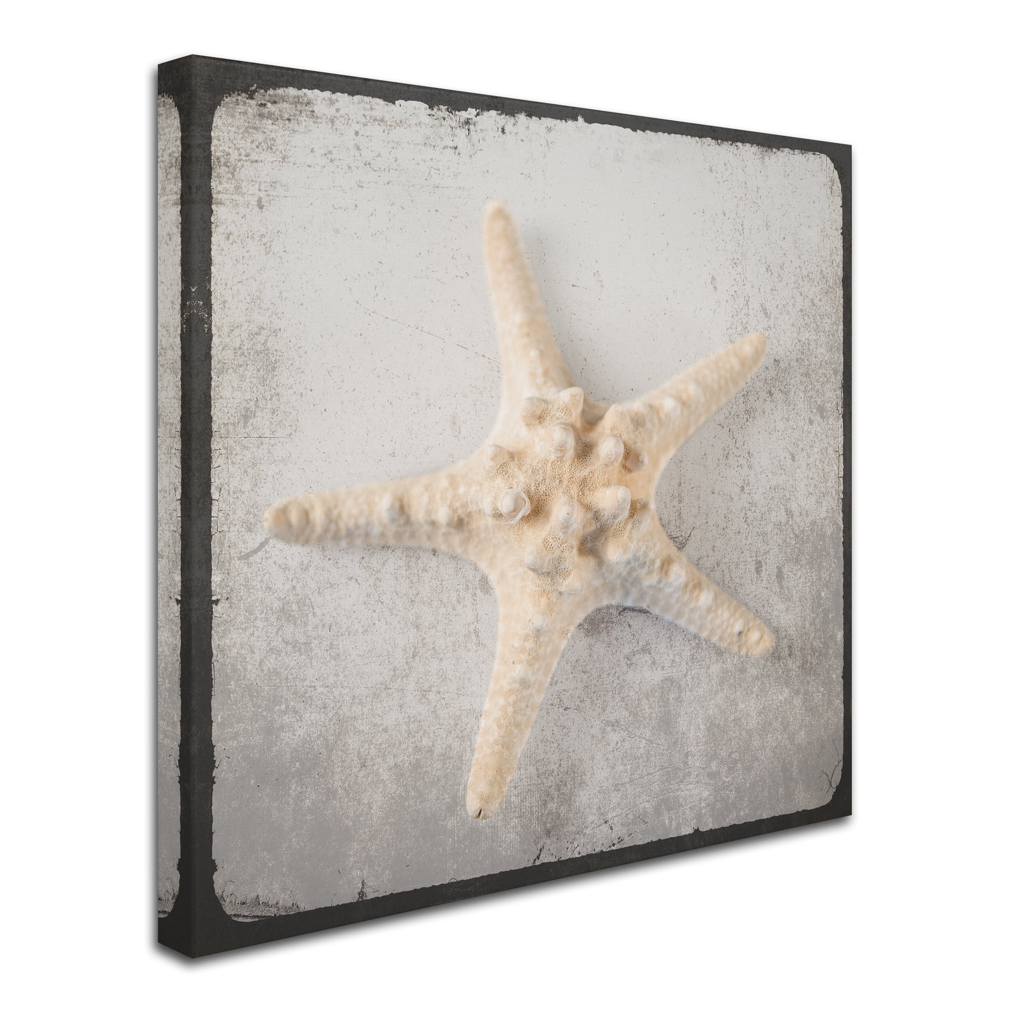 Trademark Fine Art 'Vintage Nautical Set' Canvas Art by LightBoxJournal