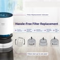 thumbnail image 4 of Genuine Winix 1712-0110-00 True HEPA Plus Replacement Filter O, compatible with Winix models A230 and A231, 4 of 9